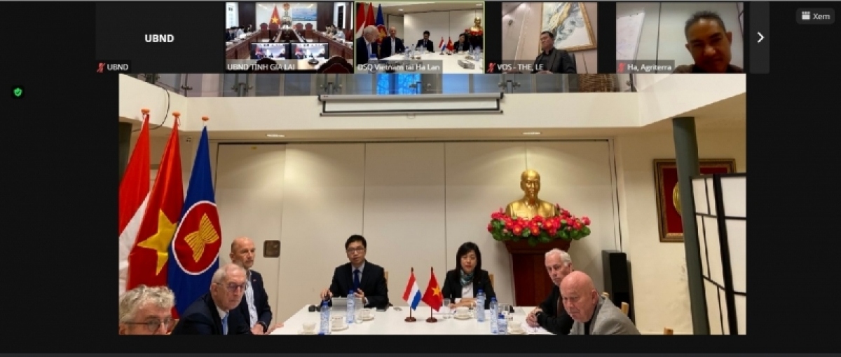 Webinar explores business opportunities in Gia Lai